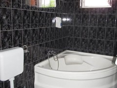 1150847_540664559316227_170416365_n