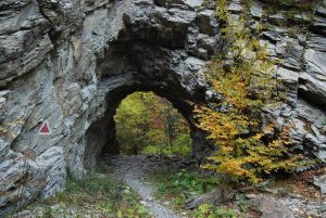Cheile Tisiței, traseu montan printre pereți stâncoși și vegetație deasă, în Munții Vrancei.